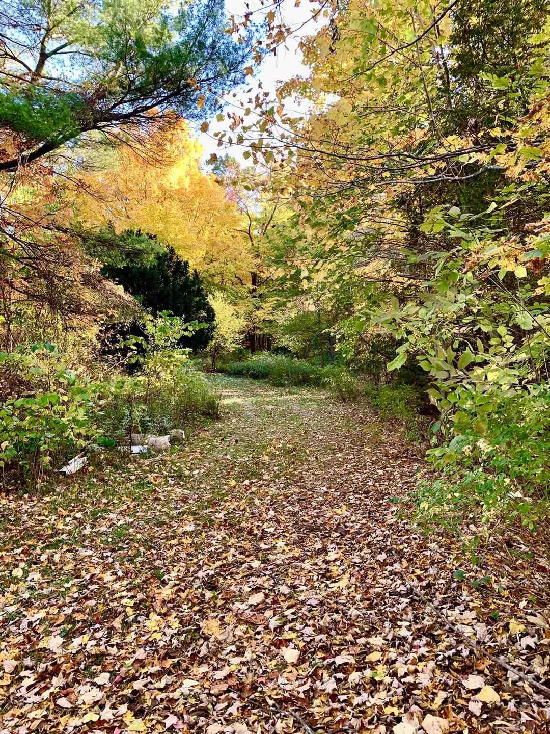 00 N 300 W, Pines, IN 46360 - photo 1