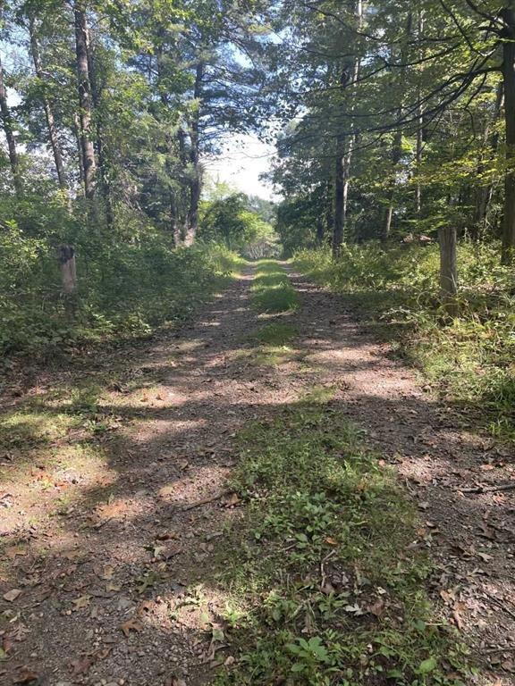 0 Langridge unit 403609, Clermont, NY 12583 - photo 1