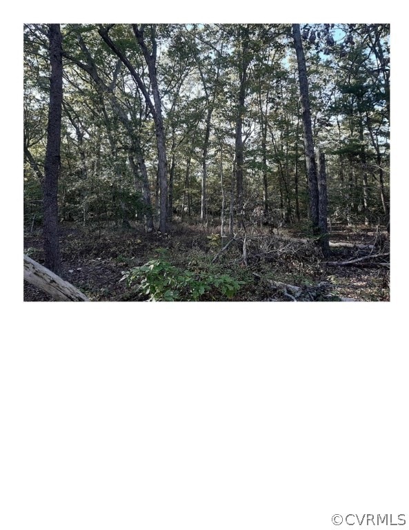 Wooded lot