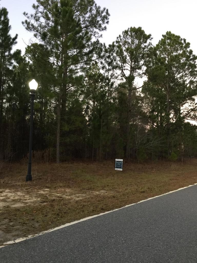 0 Lakewood Dr unit 18015, Vidalia, GA 30474 - photo 1