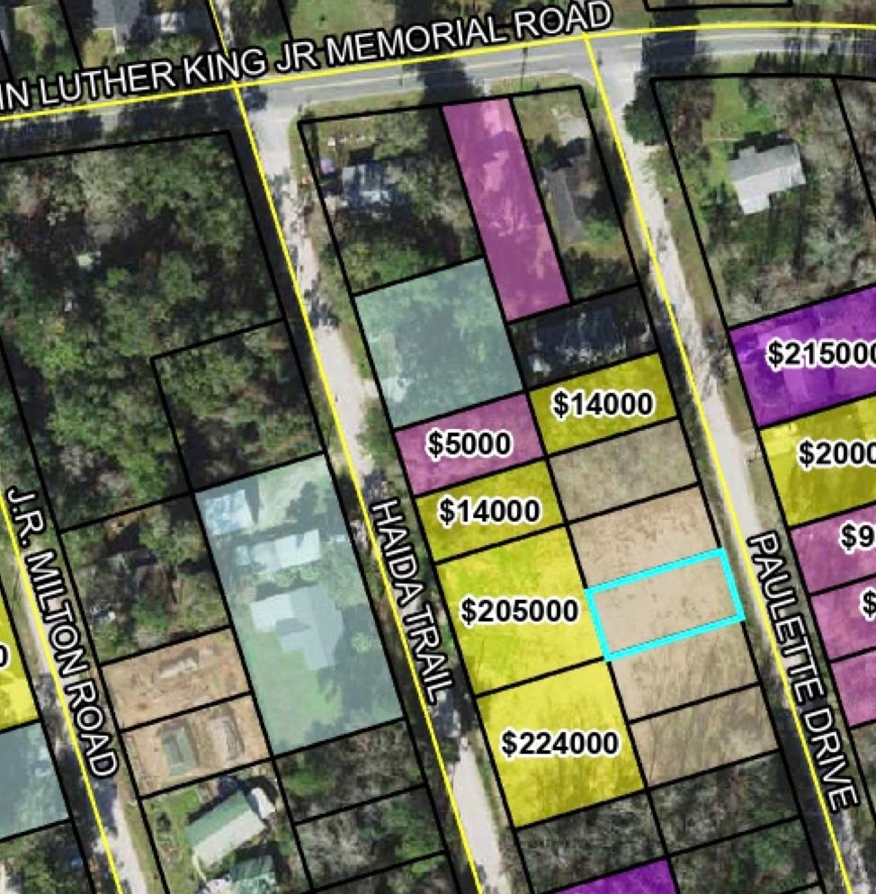 Lot 53 Paulette Dr, Crawfordville, FL 32327 - photo 1