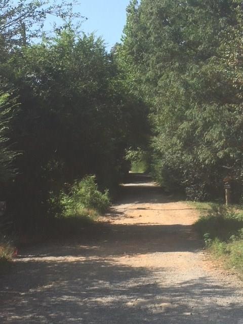 5420 Adairsville Rd NE, Adairsville, GA 30103 - photo 1