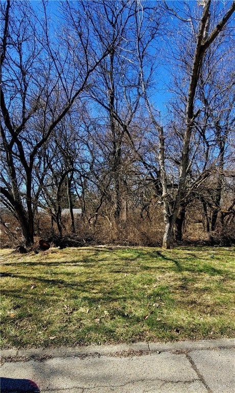 lot 1