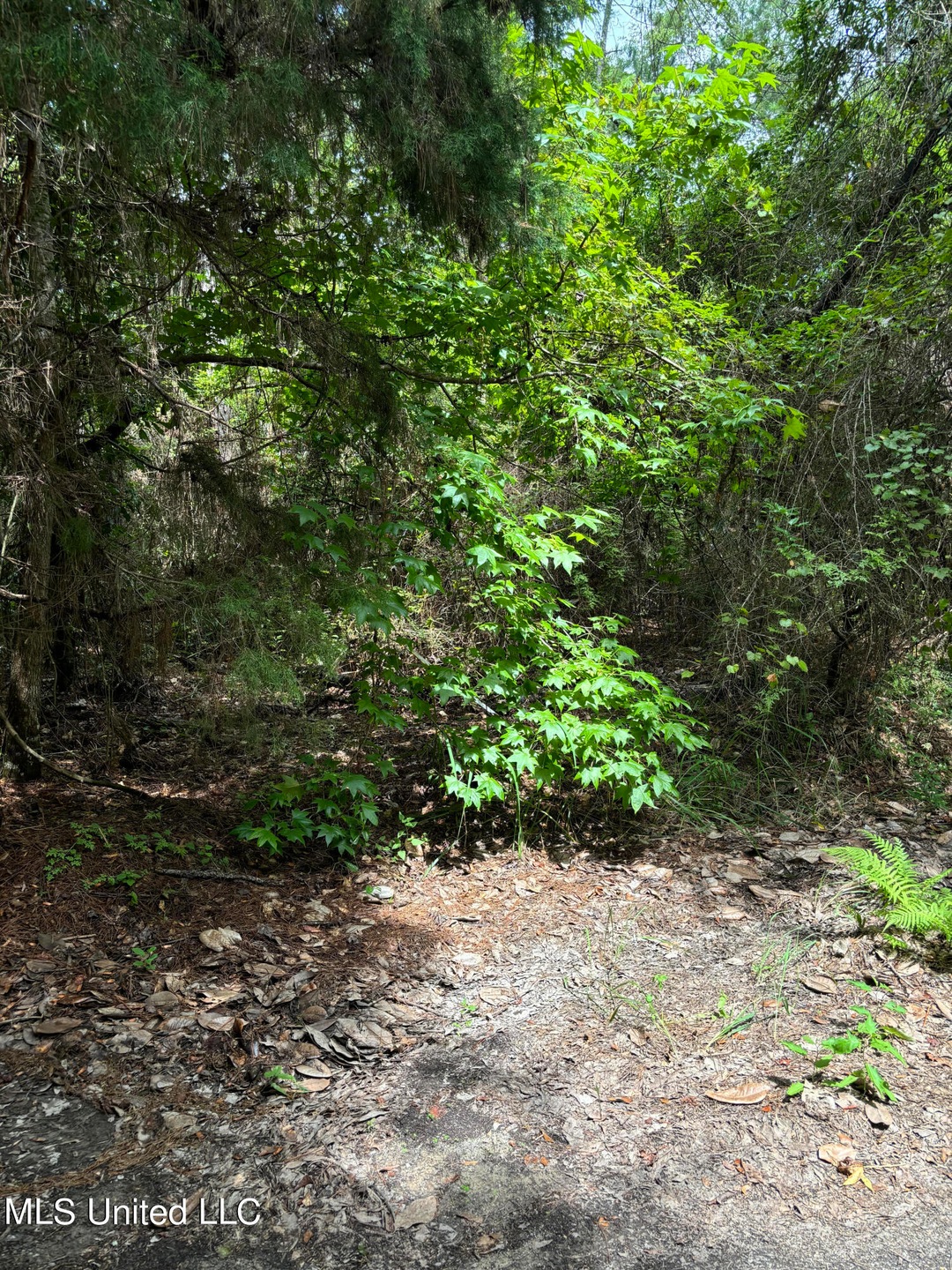 unnamed (1)