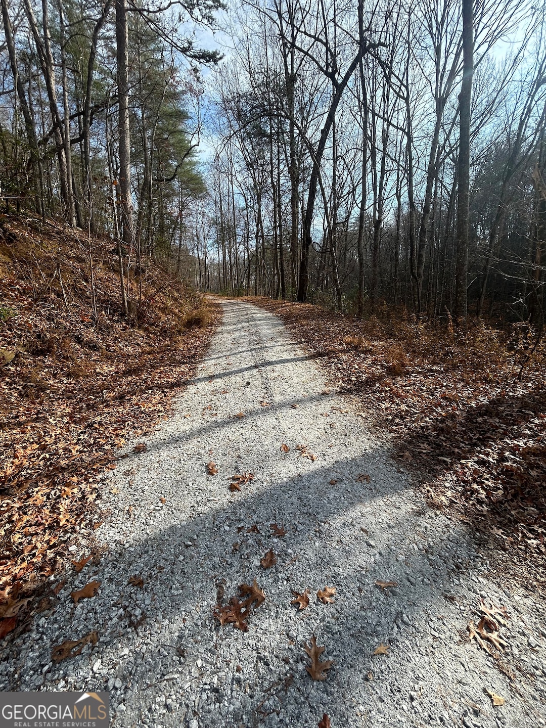 0 Amaryllis Ln unit 10647717, Tiger, GA 30576 - photo 1