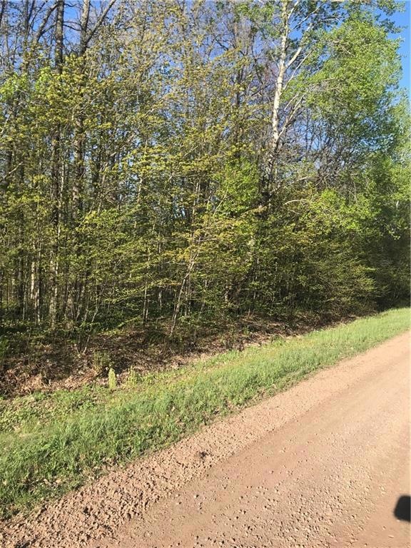 0 15th Ave, Rice Lake, WI 54868 - photo 1