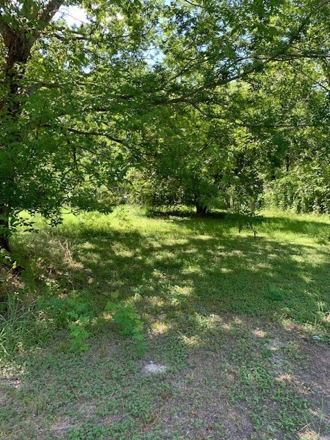 00003 Apache St, Houston, TX 77028 - photo 1