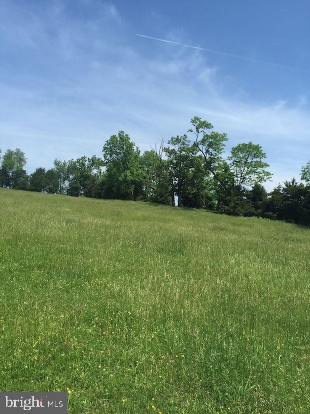 0 Not On File unit 1003289369, Maurertown, VA 22644 - photo 1