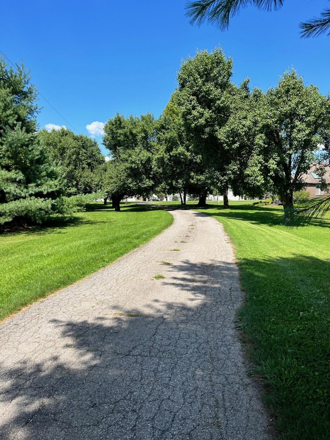 Driveway