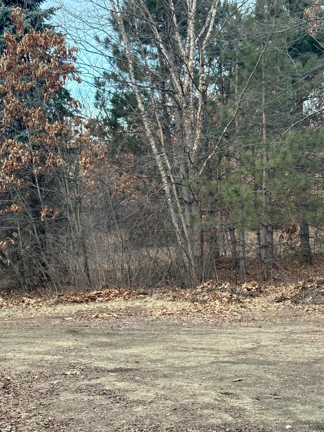 IMG_2207