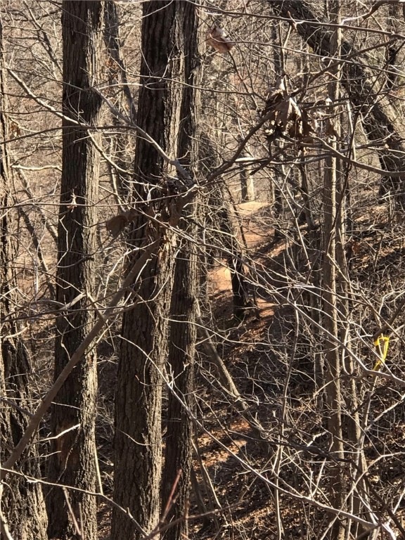 Back of lot on right side. Can you see the Back 40 trail?