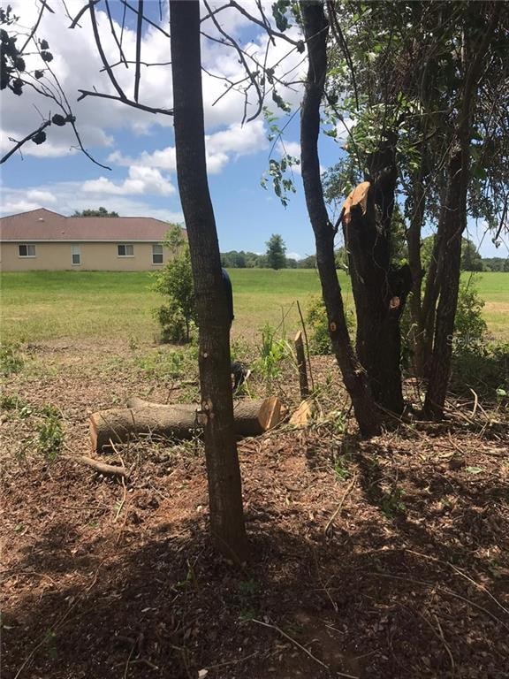 343 E Dusty Ct, Hernando, FL 34442 - photo 1