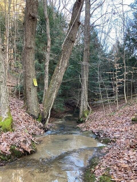 Creek 6