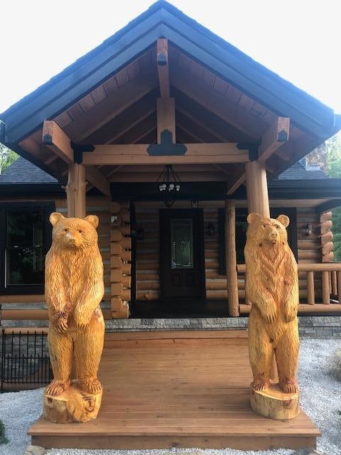 CABIN PIC