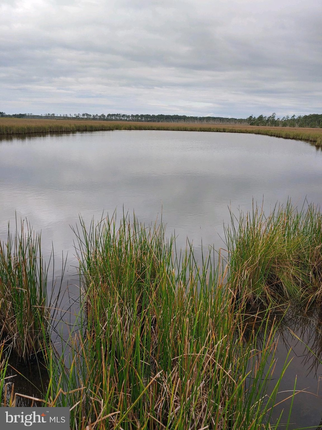 0 Shorters Wharf unit MDDO2006234, Cambridge, MD 21613 - photo 1