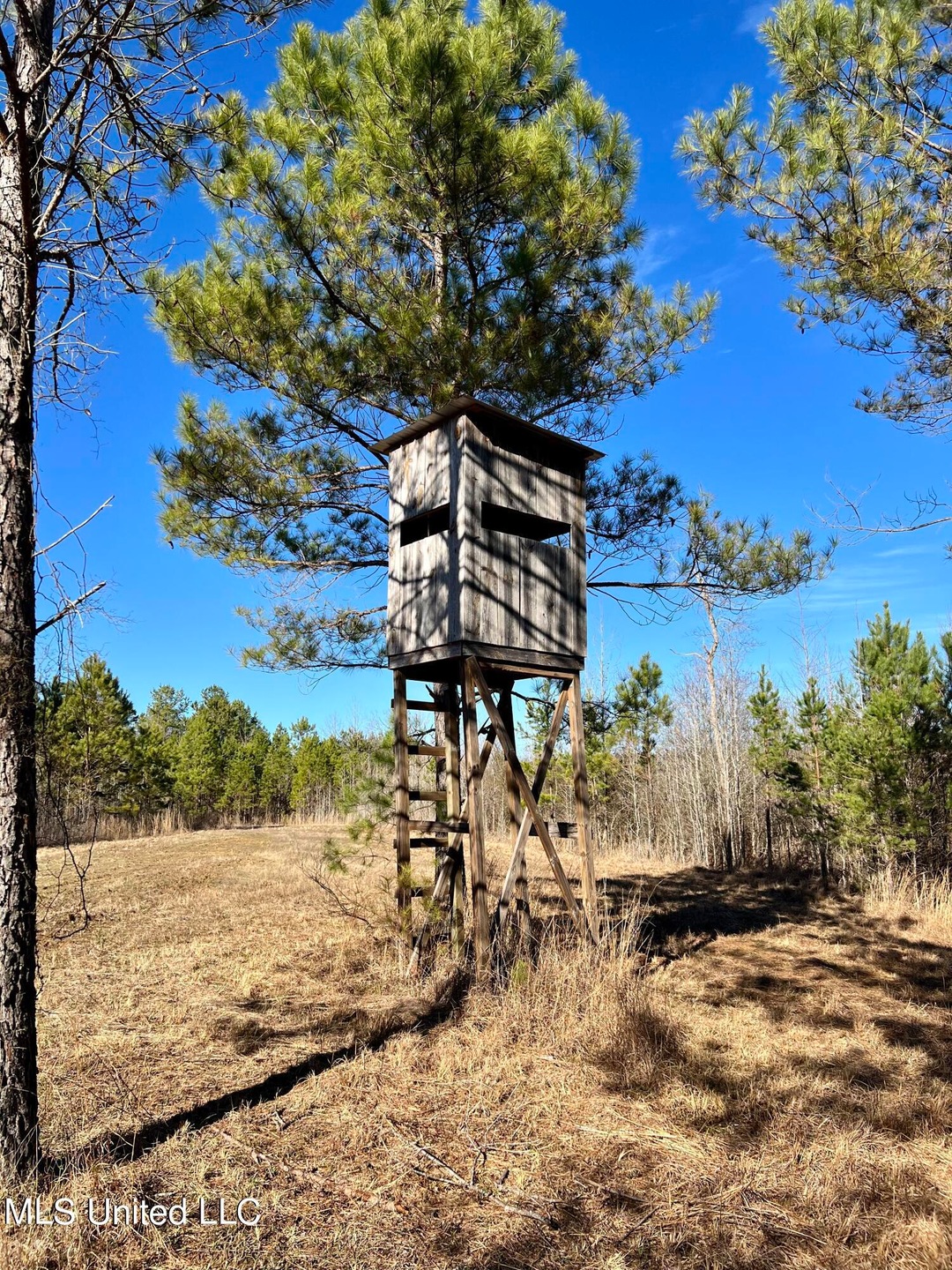 Photo Feb 09 2023, 3 00 52 PM