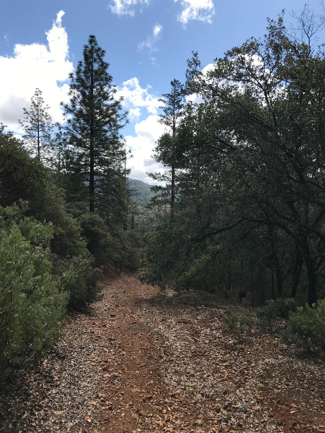 Sold $35,000 • Co-Listing Agent