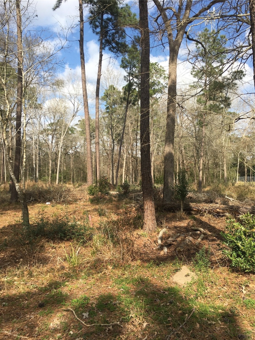 TBD Twin Deer Rd, Conroe, TX 77385 - photo 1