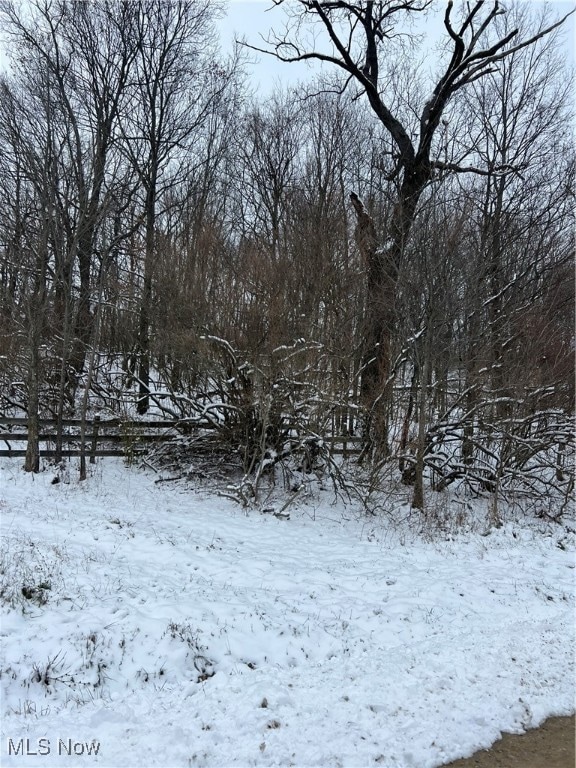 0 Rice Rd SW, New Phila, OH 44663 - photo 1