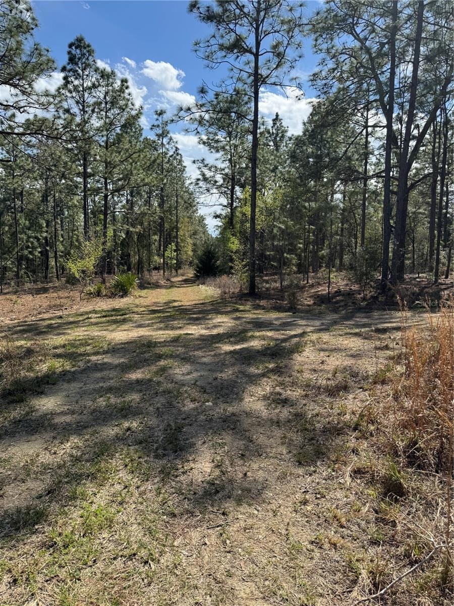 0 SW 156th Ct unit MFRO6331601, Ocala, FL 34481 - photo 1