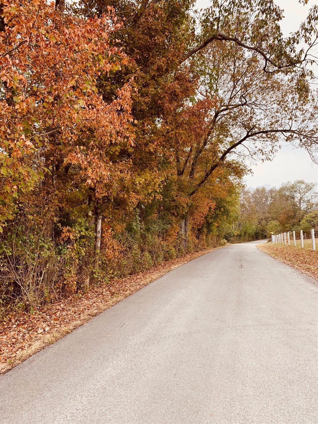 1499 Hifner Rd, Versailles, KY 40383 - photo 1