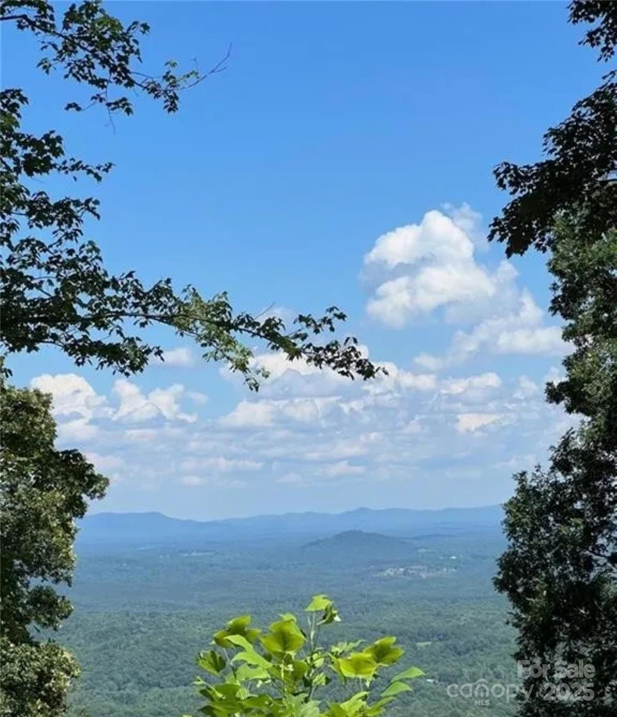 00 Hickory Nut Ln unit 390, Lake Lure, NC 28746 - photo 1