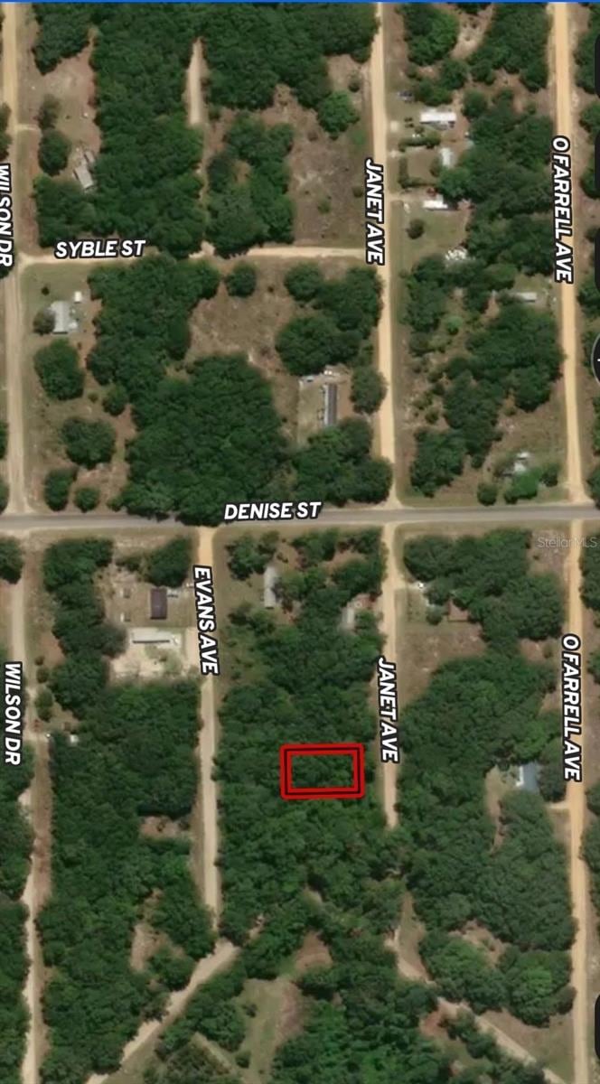 LOT 3 Janet Ave, Interlachen, FL 32148 - photo 1