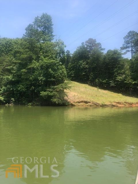 6656 Dartmoor Dr, Flowery Branch, GA 30542 - photo 1