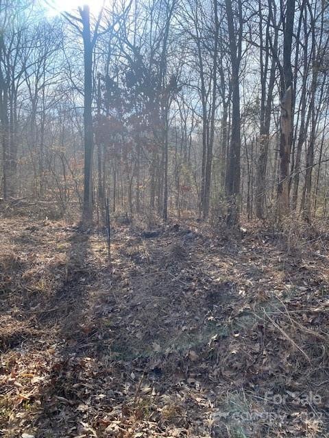 0 Katie Ln unit 48, Statesville, NC 28625 - photo 1