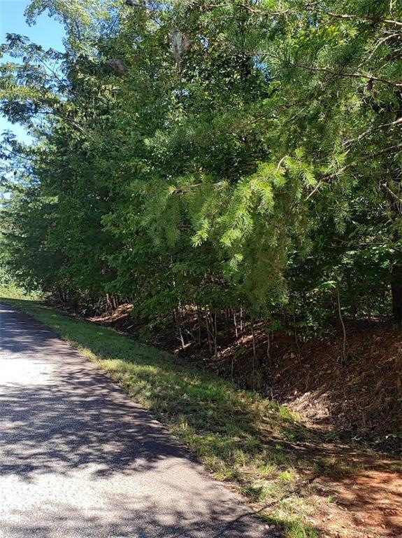 48 Green Meadows, Dahlonega, GA 30533 - photo 1