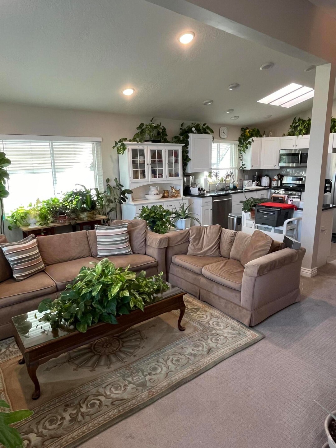 Spacious Living Room