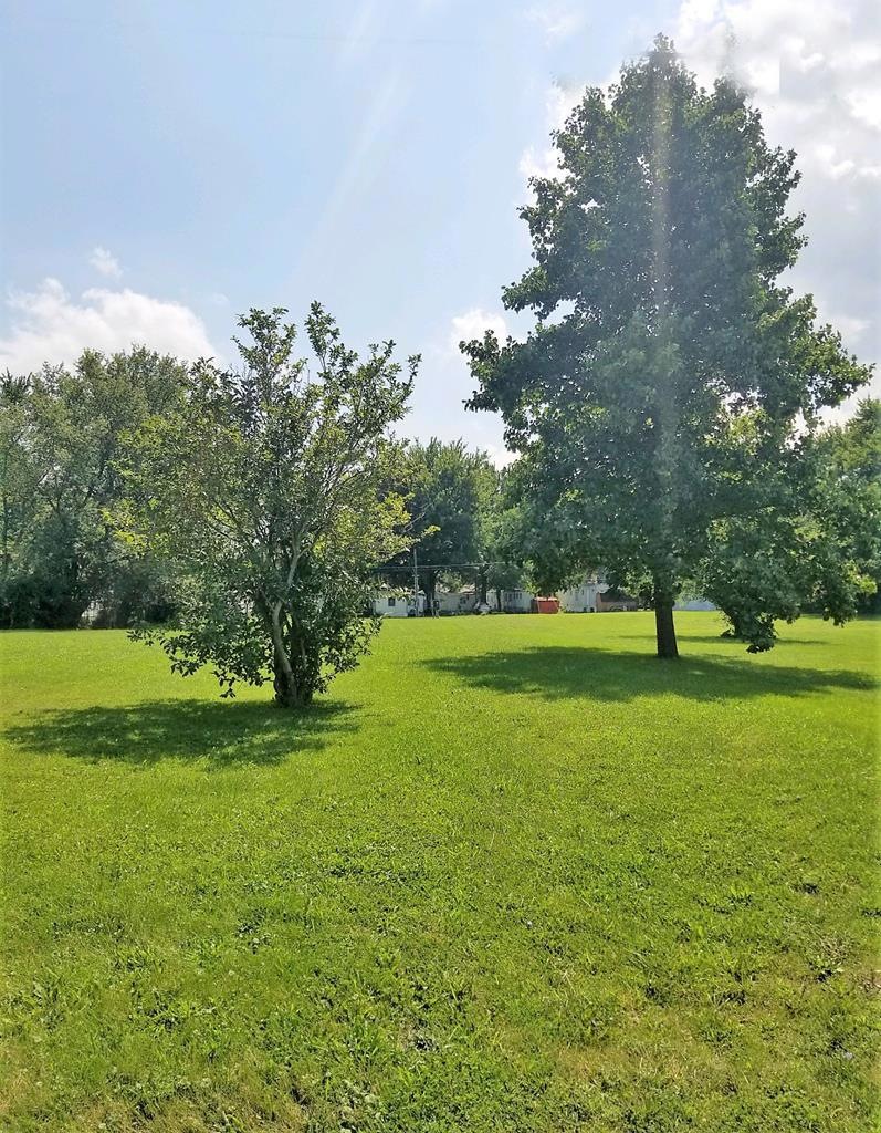 Main View