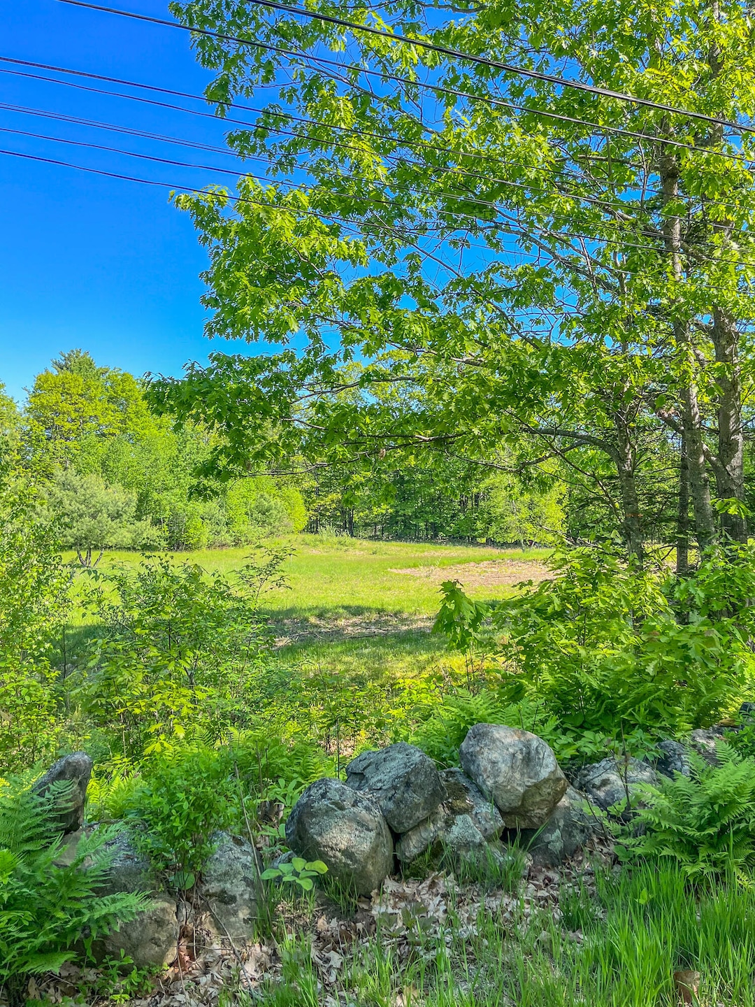13 S Dondero Rd-7