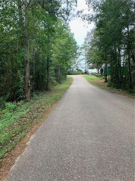 29272 Old Columbia Rd, Franklinton, LA 70438 - photo 1