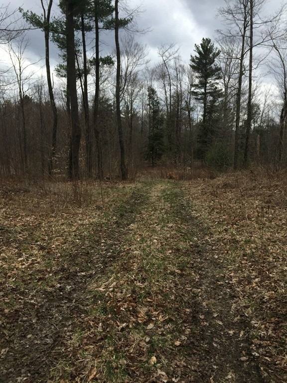0 S Beech Plain Rd unit 72607085, Sandisfield, MA 01255 - photo 1