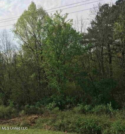 0 Highway 80 Hwy unit 4131915, Jackson, MS 39209 - photo 1