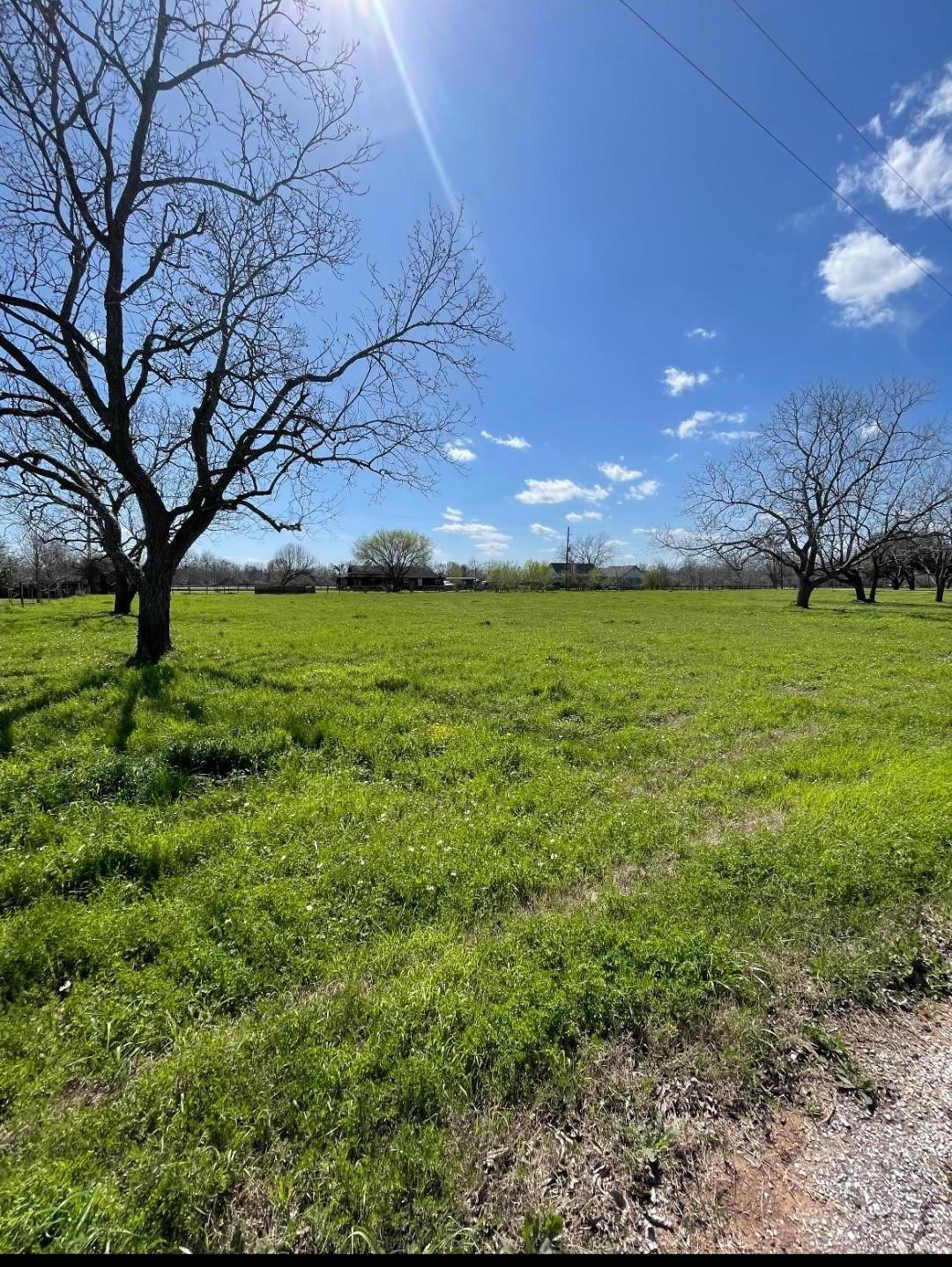 02 Longhorn Road Lariat Ln, Simonton, TX 77485 MLS 73705706