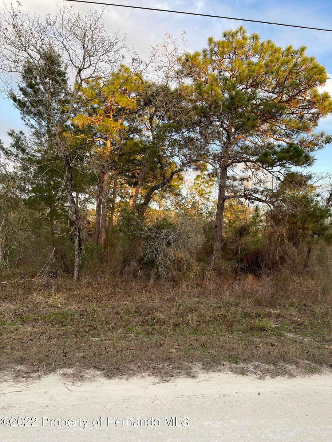 IMG-1118 LOT 7 EVERGLADE