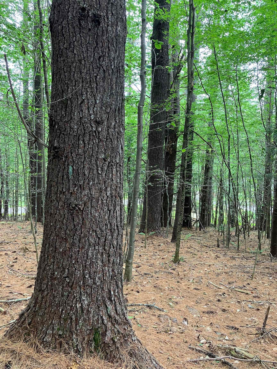 Under Contract $95,000