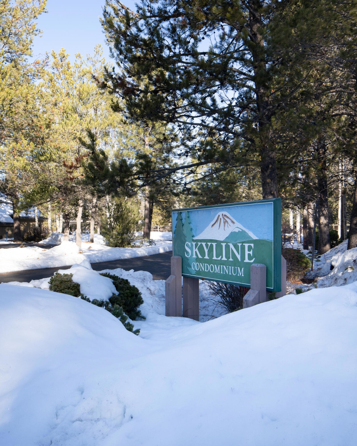 Skyline Condominiums