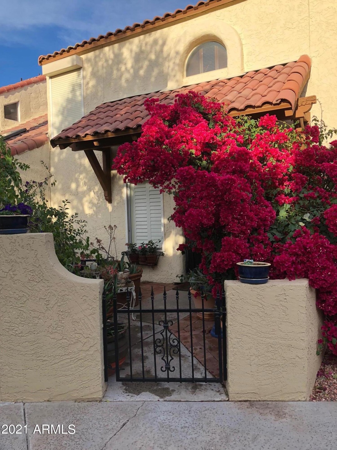 Entry in bloom