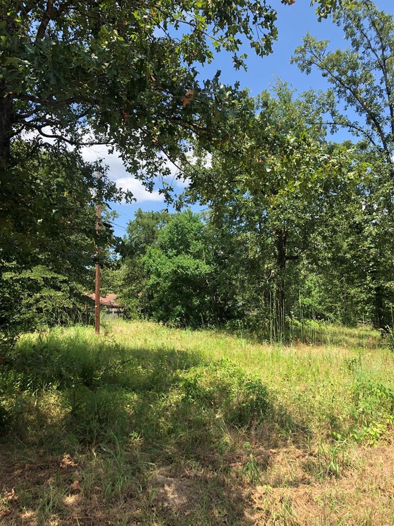 0 Wayland Dr, Lufkin, TX 75904 - photo 1