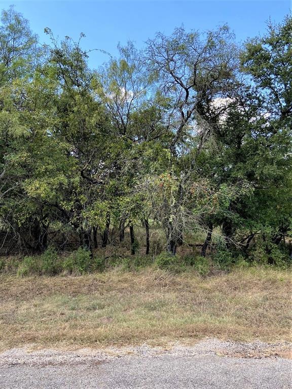 1617 Oak Springs Dr, Whitney, TX 76692 - photo 1