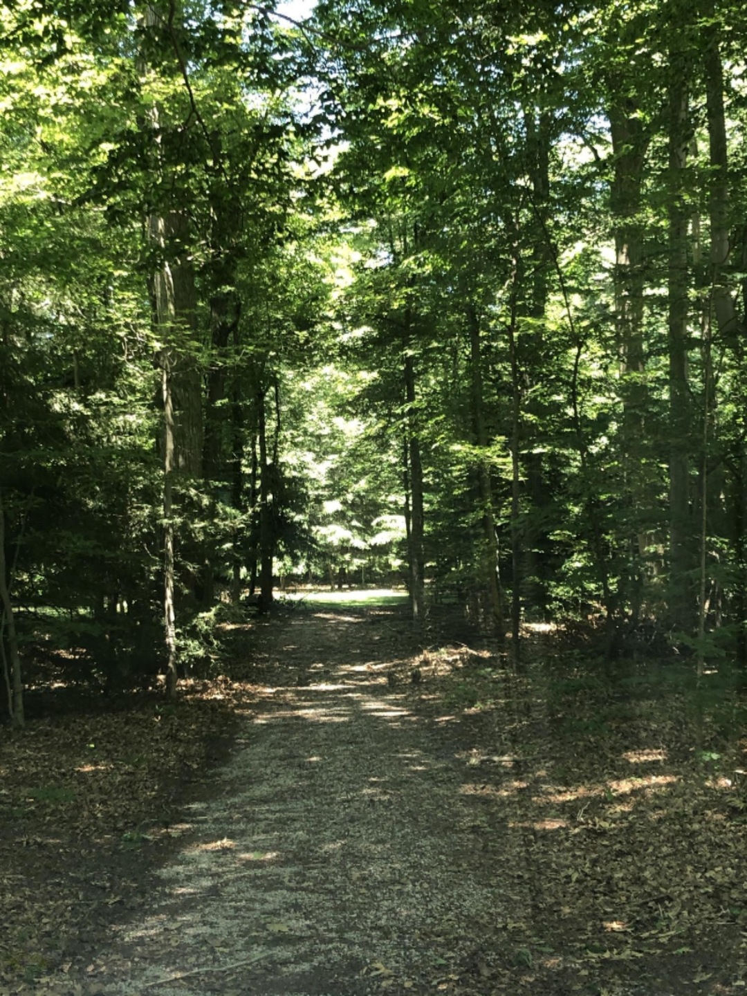 Washington private Dr