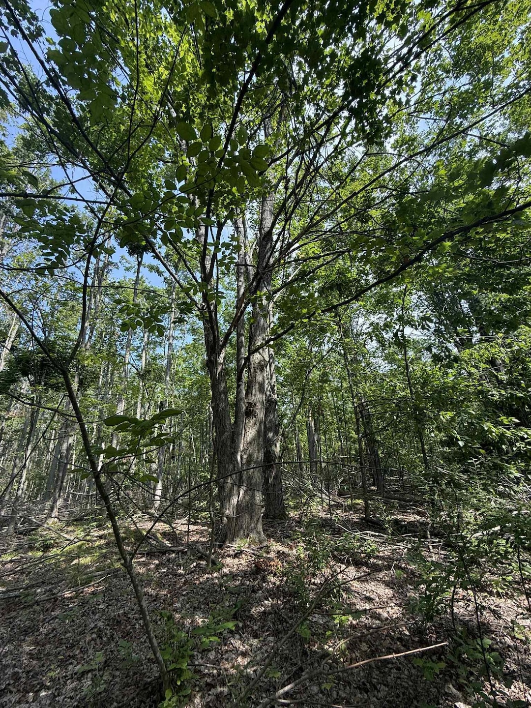 Under Contract $80,000