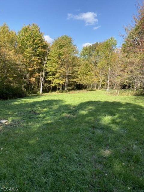 5361 Hatches Corners Rd, Conneaut, OH 44030 - photo 1