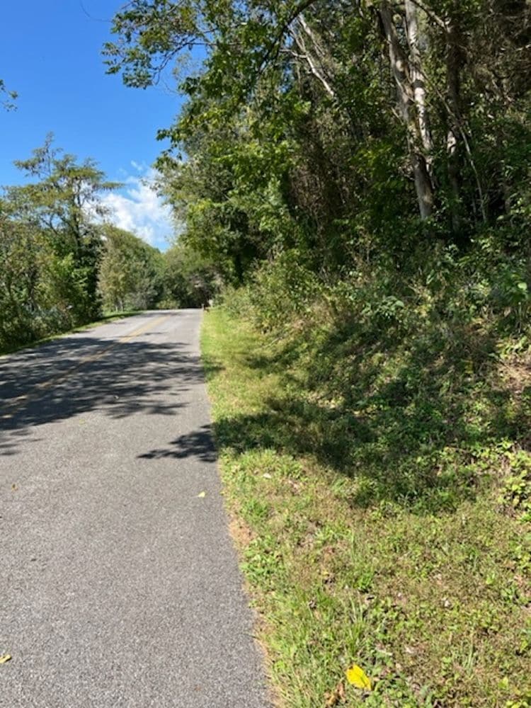 0 Wet Mill Creek Rd unit LotWP001 18424138, Celina, TN 38551 - photo 1