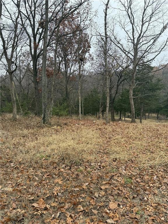 30 Lakeside Cir, Linn Valley, KS 66040 - photo 1