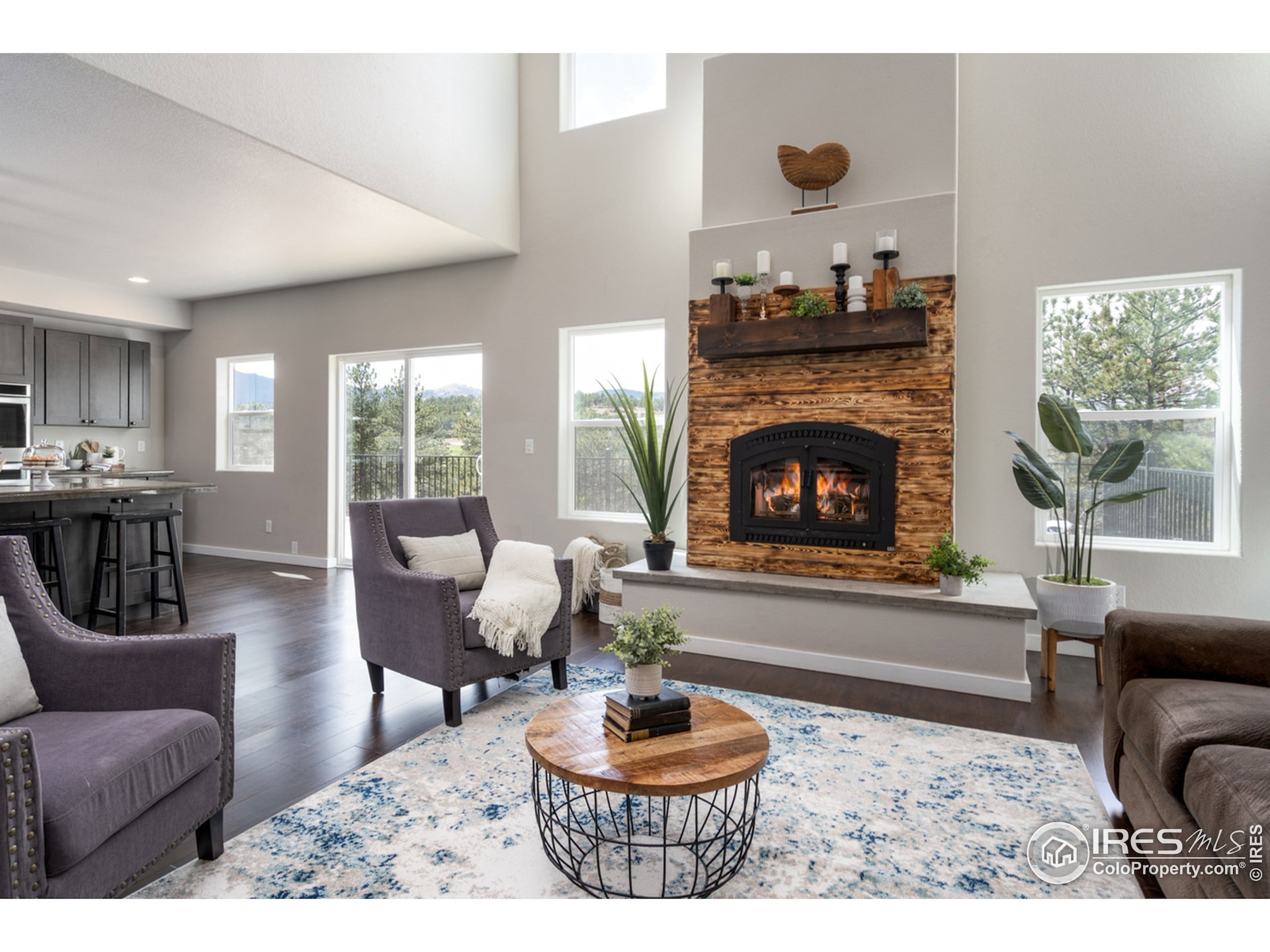 Living Room- Custom Fireplace designed to heat whole home.