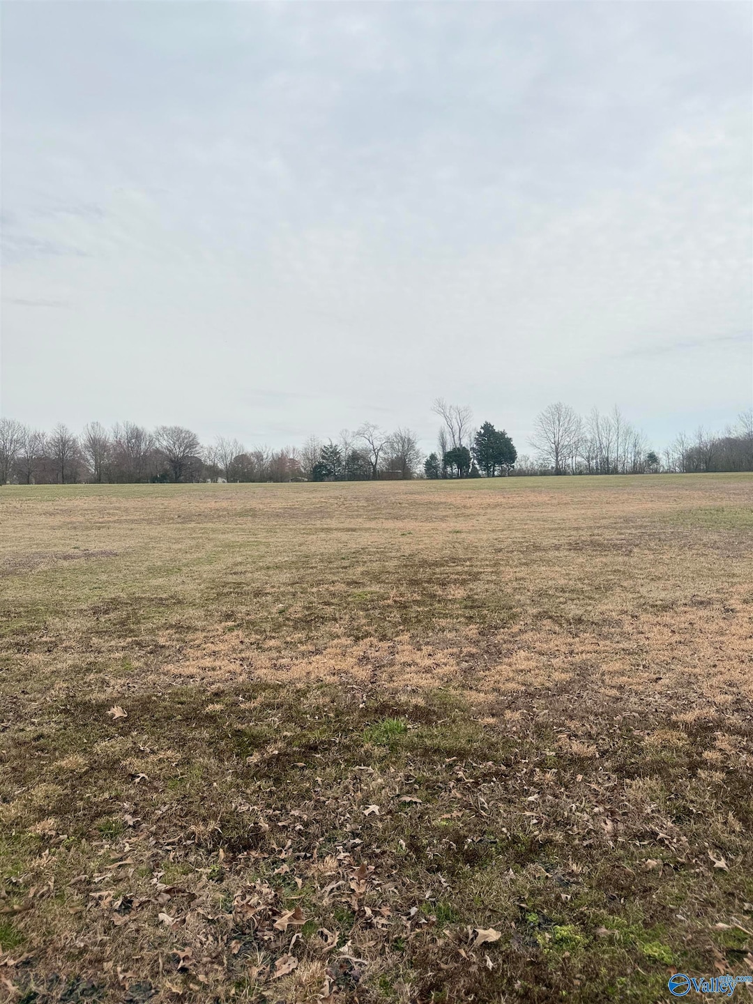 1.6 Acres Malone Estates, Athens, AL 35613 - photo 1